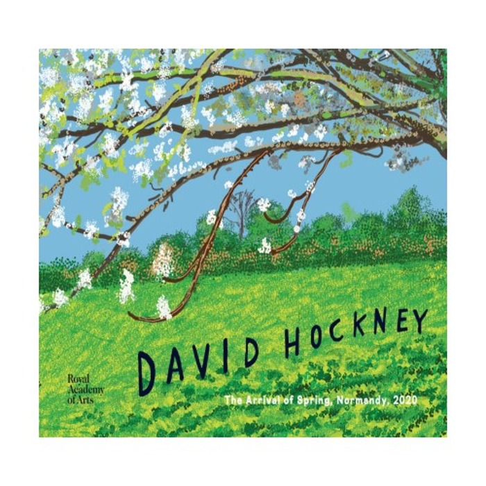 [BOOK]  DAVID HOCKNEY